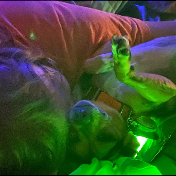 TippyToe’s Treasures!!! - Picture 11 of 16